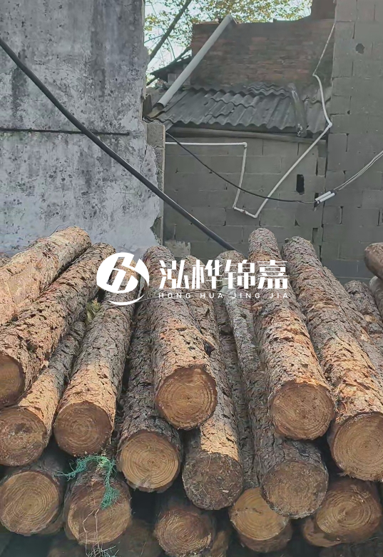1.5米至2米長(zhǎng)松木樁價(jià)格表-10-12公分大概多少錢(qián)一根？